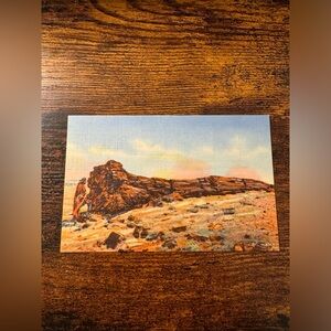 Vintage Arizona Petrified Forest Nez by the Big Log Postcard